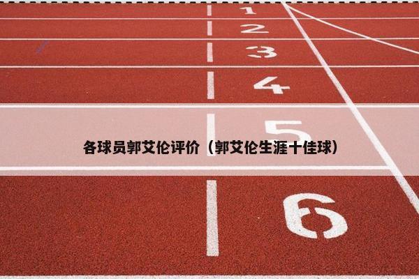 各球员郭艾伦评价（郭艾伦生涯十佳球）