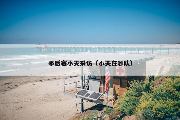 季后赛小天采访（小天在哪队）