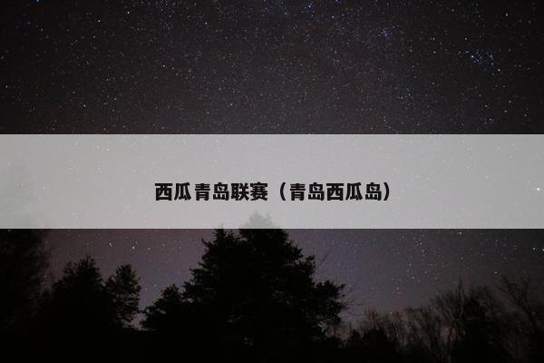 西瓜青岛联赛（青岛西瓜岛）