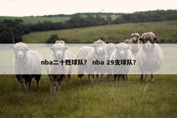 nba二十胜球队？ nba 29支球队？