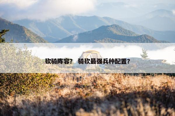 砍骑阵容？ 骑砍最强兵种配置？