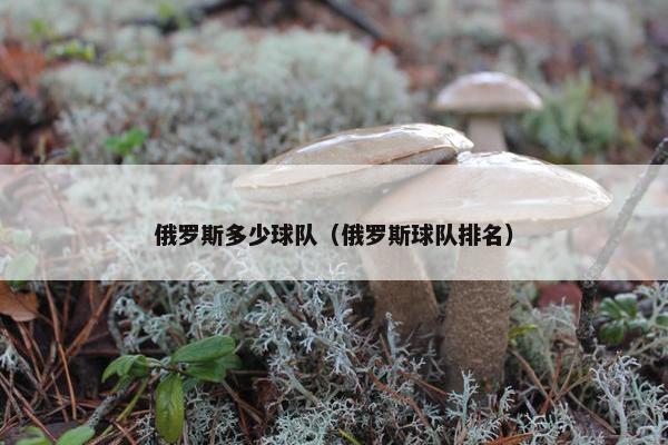 俄罗斯多少球队（俄罗斯球队排名）