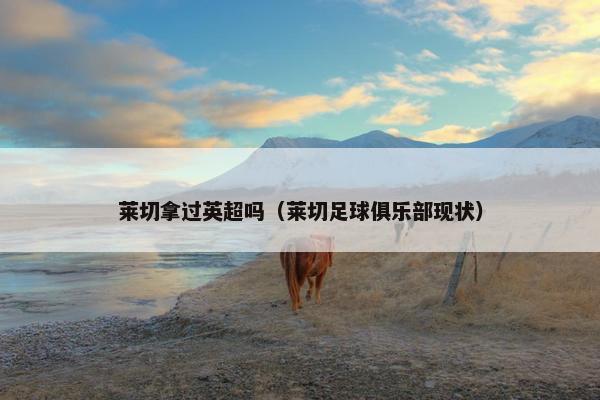 莱切拿过英超吗（莱切足球俱乐部现状）