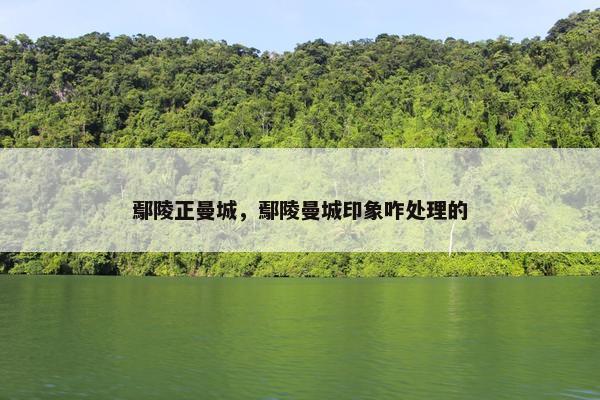 鄢陵正曼城，鄢陵曼城印象咋处理的