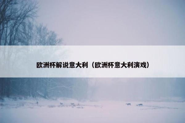 欧洲杯解说意大利（欧洲杯意大利演戏）