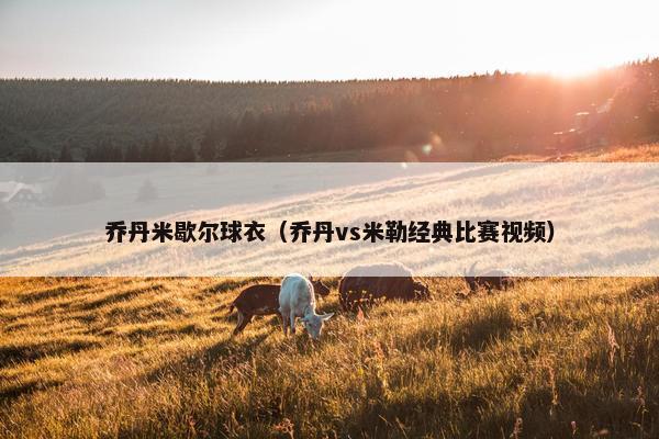 乔丹米歇尔球衣（乔丹vs米勒经典比赛视频）