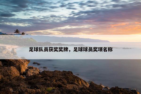 足球队员获奖奖牌，足球球员奖项名称