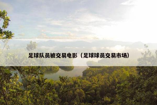 足球队员被交易电影（足球球员交易市场）