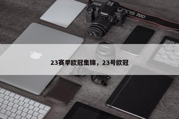 23赛季欧冠集锦，23号欧冠