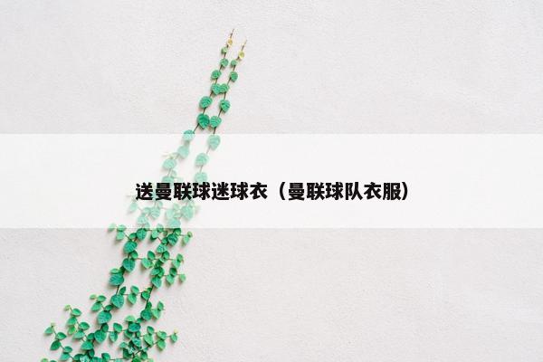送曼联球迷球衣（曼联球队衣服）