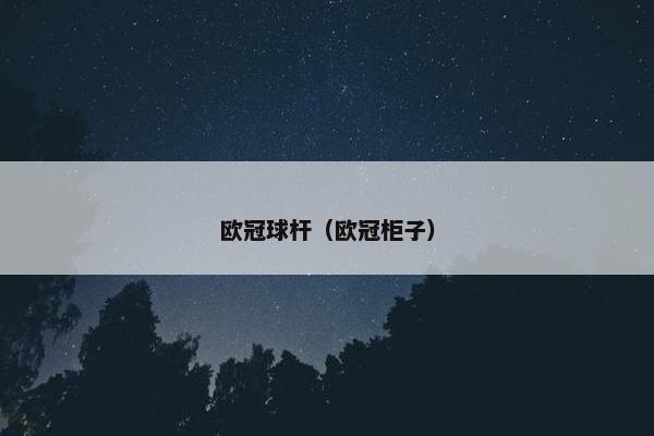 欧冠球杆（欧冠柜子）