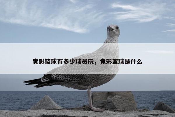 竞彩篮球有多少球员玩，竞彩篮球是什么