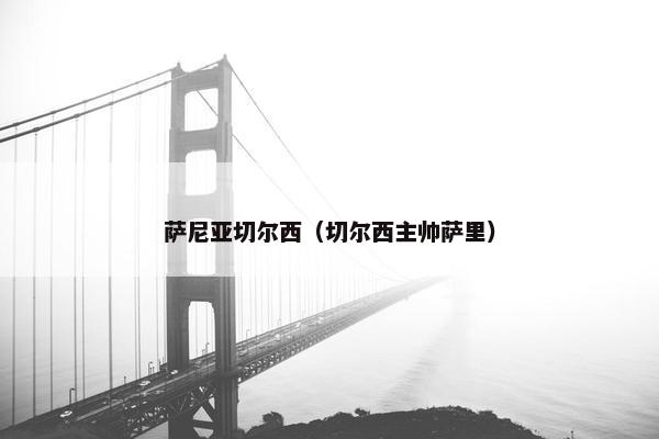 萨尼亚切尔西（切尔西主帅萨里）