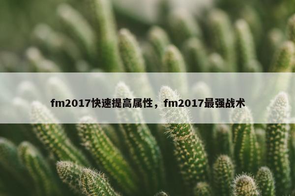 fm2017快速提高属性，fm2017最强战术