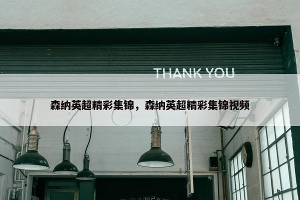 森纳英超精彩集锦，森纳英超精彩集锦视频