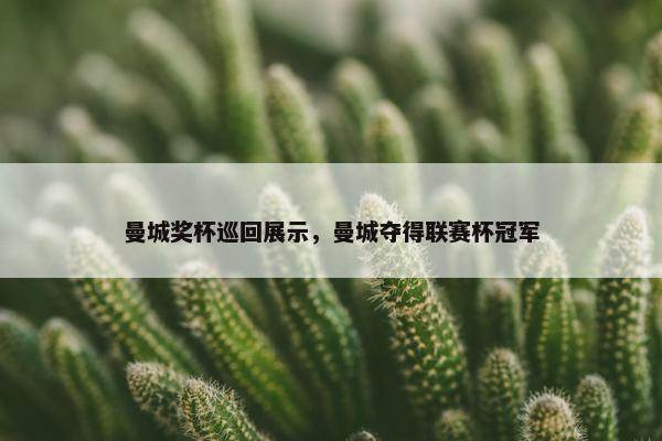 曼城奖杯巡回展示，曼城夺得联赛杯冠军