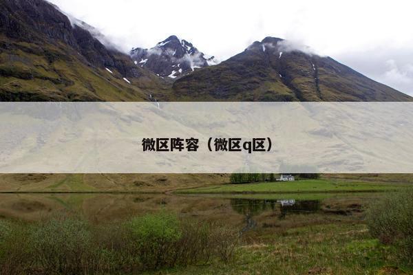微区阵容（微区q区）