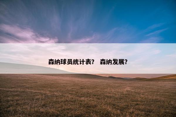 森纳球员统计表？ 森纳发展？
