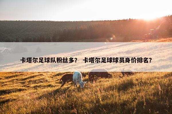 卡塔尔足球队粉丝多？ 卡塔尔足球球员身价排名？