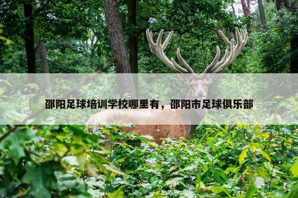 邵阳足球培训学校哪里有，邵阳市足球俱乐部