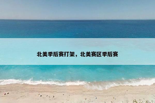 北美季后赛打架，北美赛区季后赛