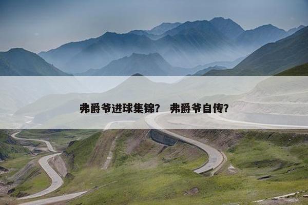 弗爵爷进球集锦？ 弗爵爷自传？