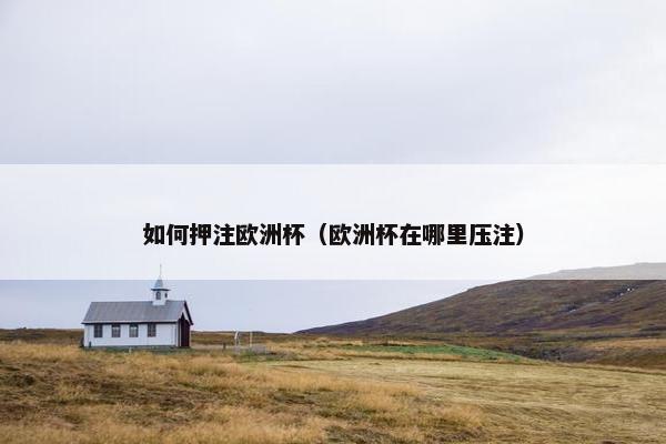 如何押注欧洲杯（欧洲杯在哪里压注）