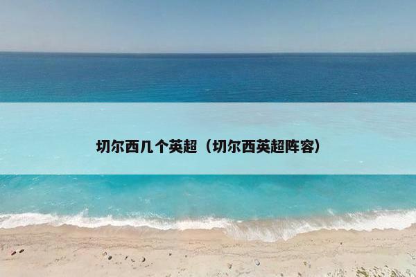 切尔西几个英超（切尔西英超阵容）