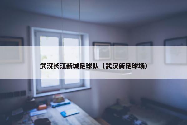武汉长江新城足球队（武汉新足球场）