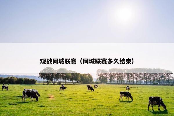 观战同城联赛（同城联赛多久结束）