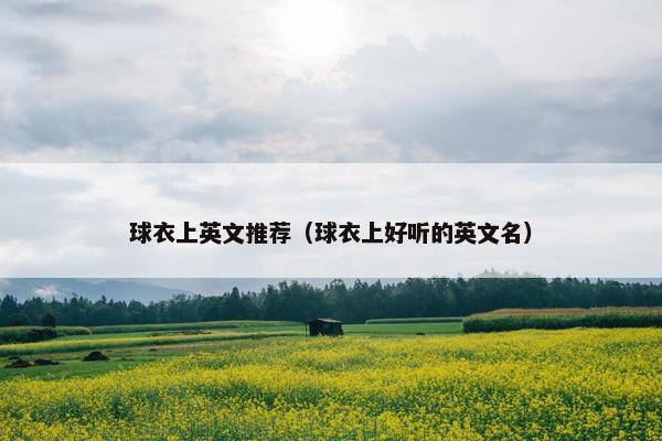 球衣上英文推荐（球衣上好听的英文名）