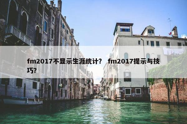 fm2017不显示生涯统计？ fm2017提示与技巧？