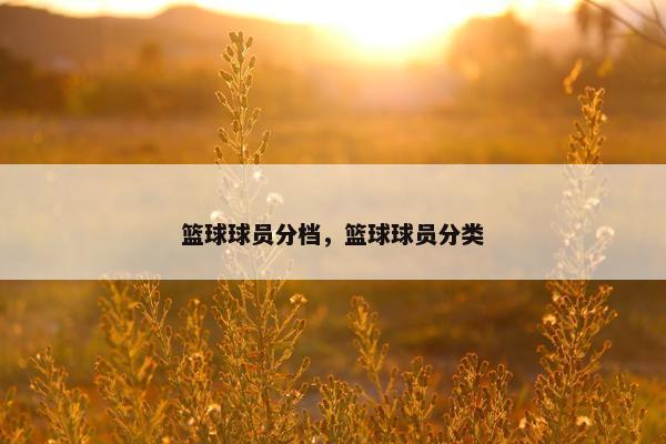 篮球球员分档，篮球球员分类