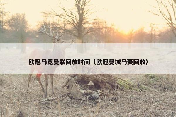 欧冠马竞曼联回放时间（欧冠曼城马赛回放）
