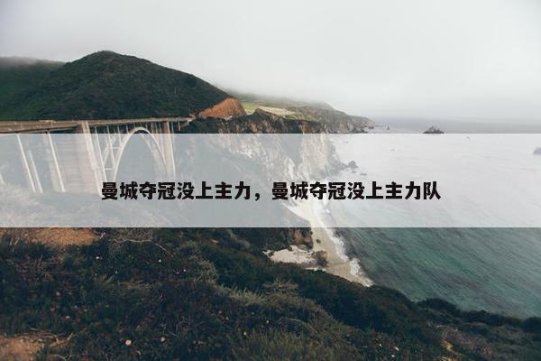 曼城夺冠没上主力，曼城夺冠没上主力队