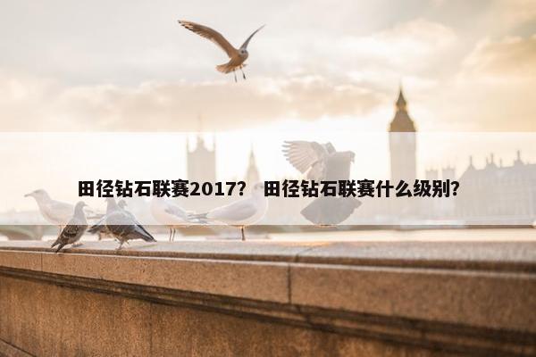 田径钻石联赛2017？ 田径钻石联赛什么级别？