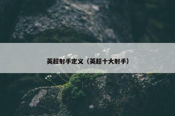 英超射手定义（英超十大射手）