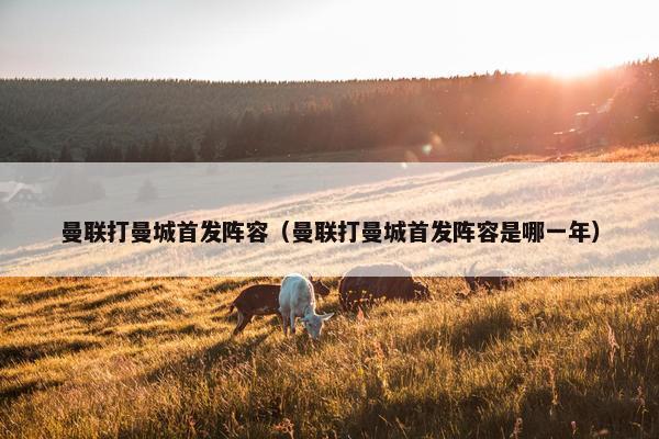 曼联打曼城首发阵容（曼联打曼城首发阵容是哪一年）