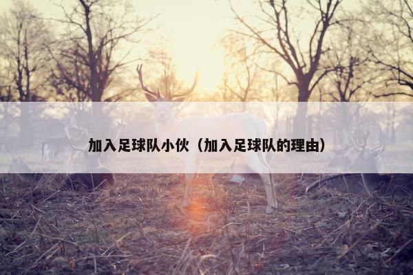 加入足球队小伙（加入足球队的理由）