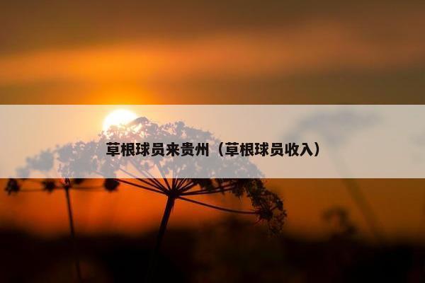 草根球员来贵州（草根球员收入）