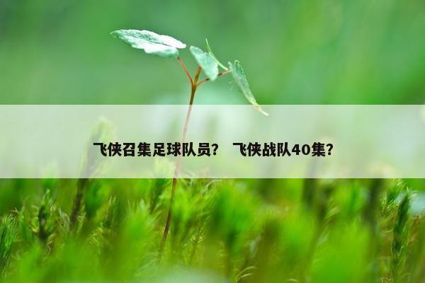 飞侠召集足球队员？ 飞侠战队40集？