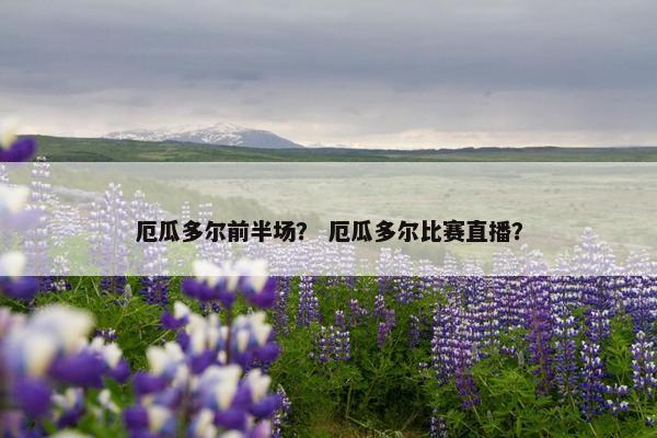 厄瓜多尔前半场？ 厄瓜多尔比赛直播？