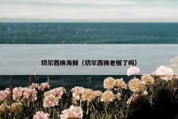 切尔西换海鲜（切尔西换老板了吗）