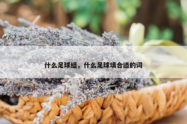 什么足球组，什么足球填合适的词