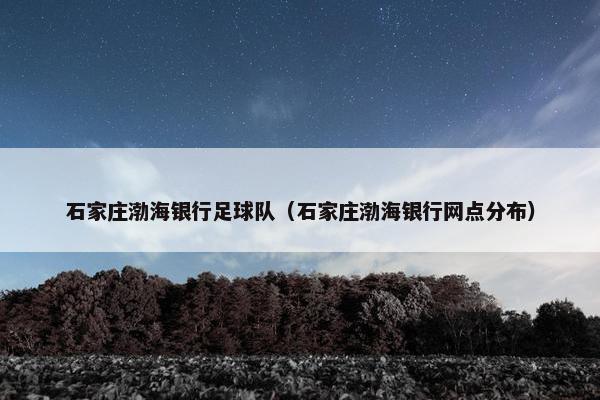 石家庄渤海银行足球队（石家庄渤海银行网点分布）