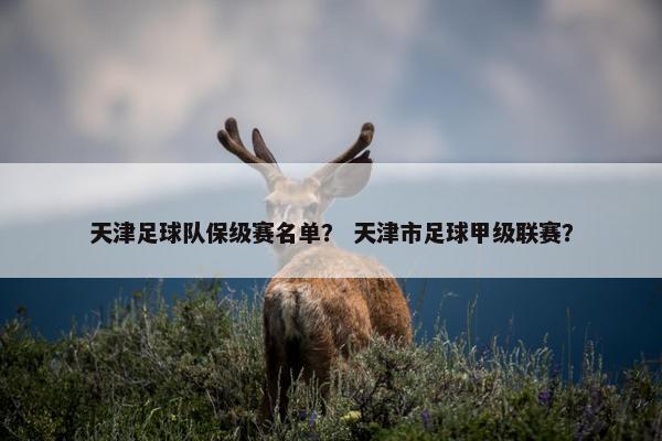 天津足球队保级赛名单？ 天津市足球甲级联赛？
