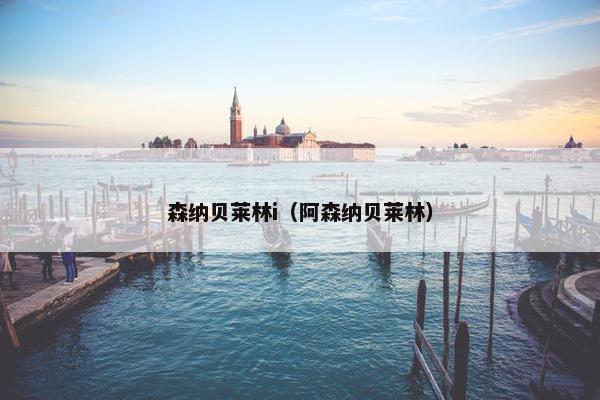 森纳贝莱林i（阿森纳贝莱林）
