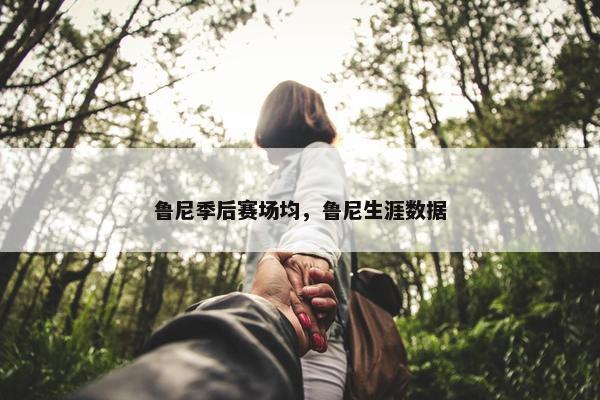 鲁尼季后赛场均，鲁尼生涯数据