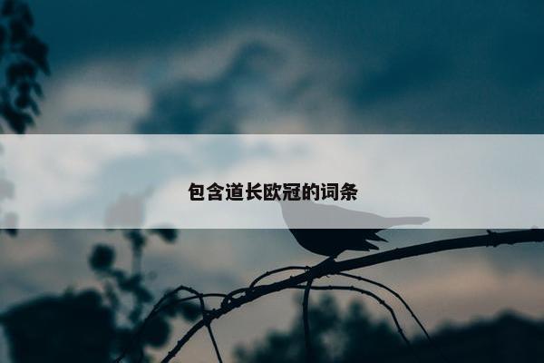包含道长欧冠的词条
