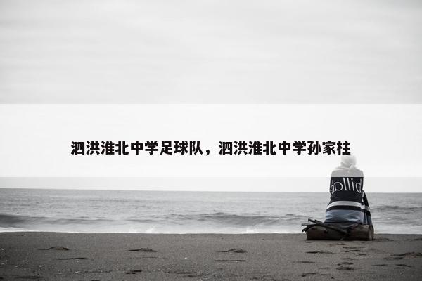 泗洪淮北中学足球队，泗洪淮北中学孙家柱